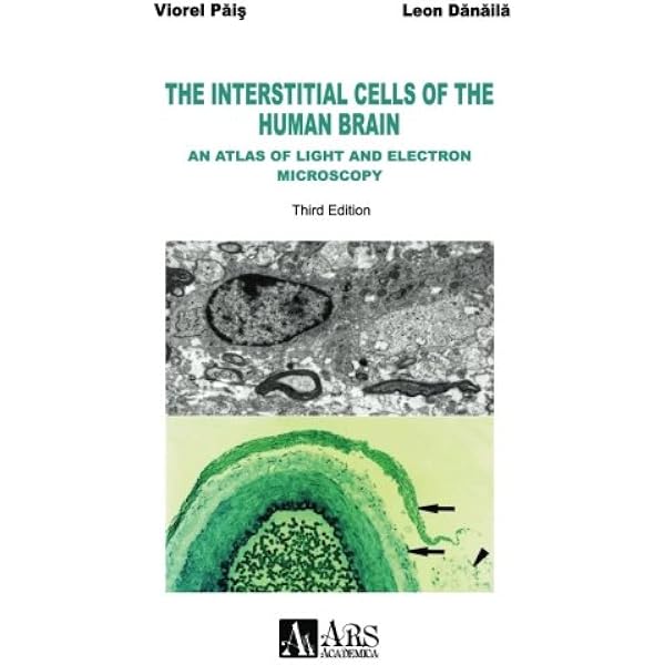 The Human Brain: Surface, Three-Dimensional Sectional Anatomy with